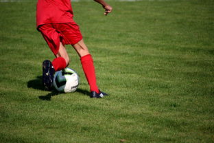 kaiyun开云·官方网站-职业俱乐部推动退役球员培训转型教练岗位，职业选手退役当教练