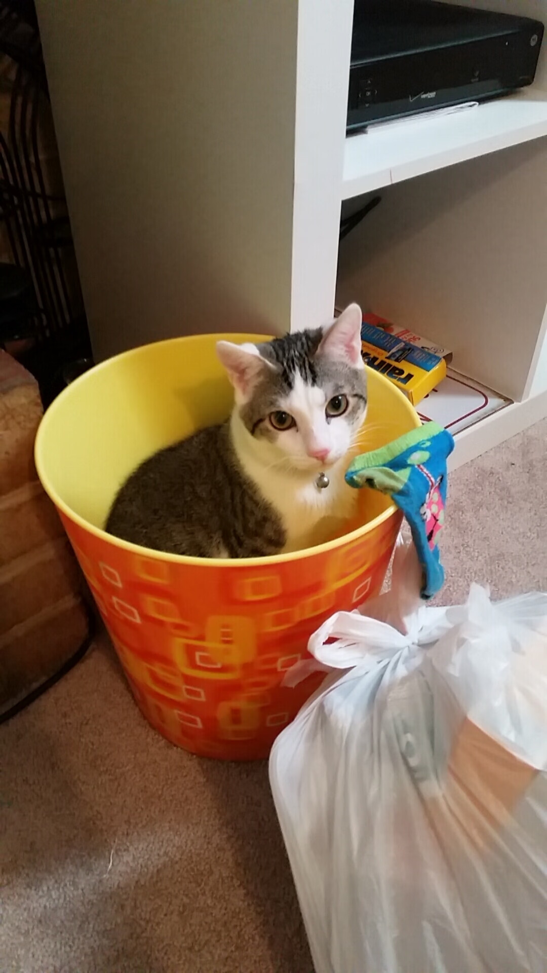 开云体育下载官网-“技术揭秘：三分球迈向未来的变革”，三分球视频教程