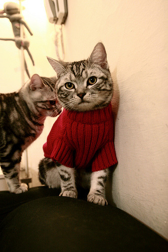 开yun官网-在一次NBA历史纪录比赛中，库里投中14个三分，刷新“单场远投”纪录！